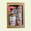 Picture of Starfire's - Gift Box For Pets No. 1