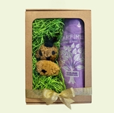 Picture of Starfire's - Gift Box For Pets No. 2