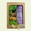 Picture of Starfire's - Gift Box For Pets No. 2